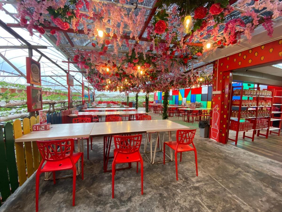 Aiza Homestay Opposite Abang Strawberry Taman Sedia Tanah Rata Zewnętrze zdjęcie
