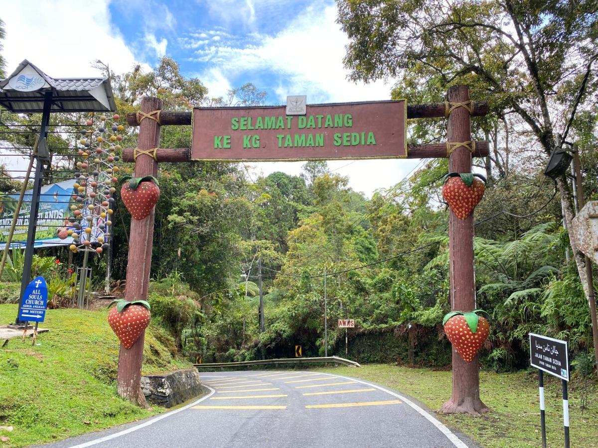 Aiza Homestay Opposite Abang Strawberry Taman Sedia Tanah Rata Zewnętrze zdjęcie